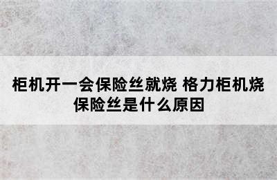 柜机开一会保险丝就烧 格力柜机烧保险丝是什么原因